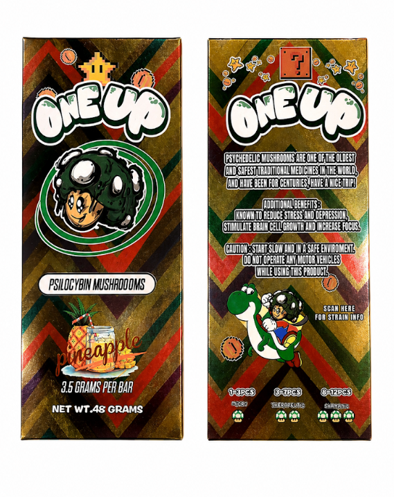 Photographie source: [ ] One Up – Mushroom Bars – Pineapple