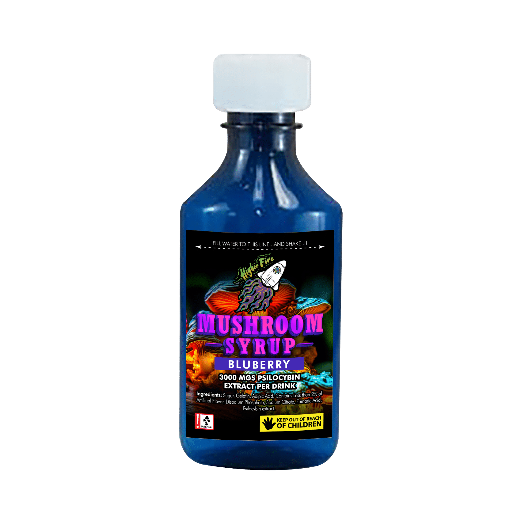 Photographie source: MUSHROOM SYRUPS – BLUEBERRY