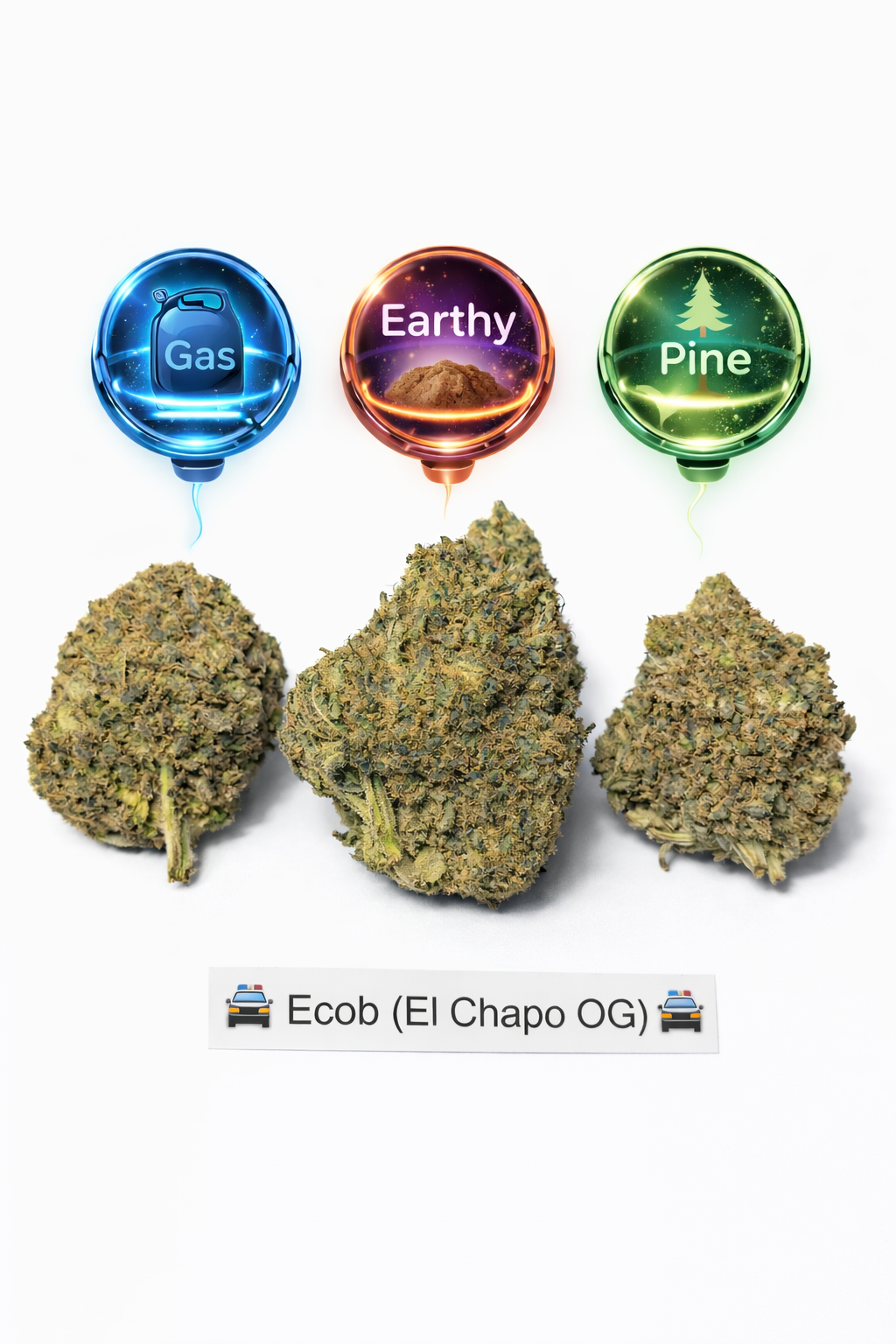 π EL CHAPO π Indica-Dominant Hybrid