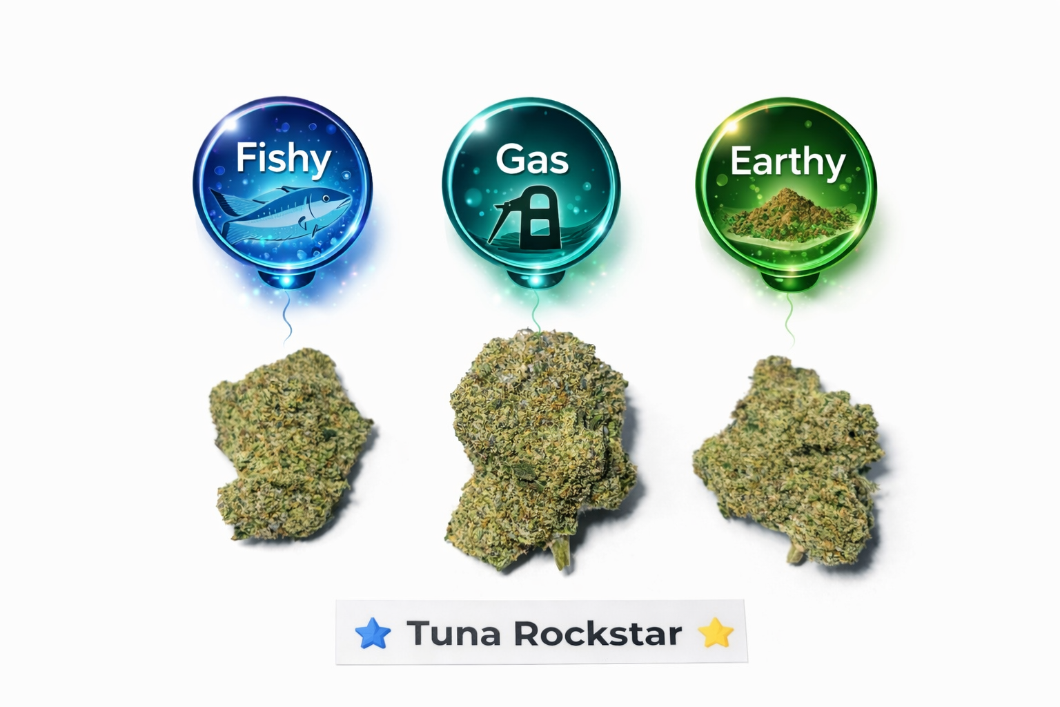 Photographie source: ⭐🐟 TUNA ROCKSTAR 🐟⭐ Type