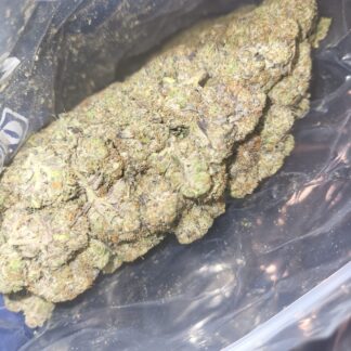 BLACK FIN TUNA - INDICA