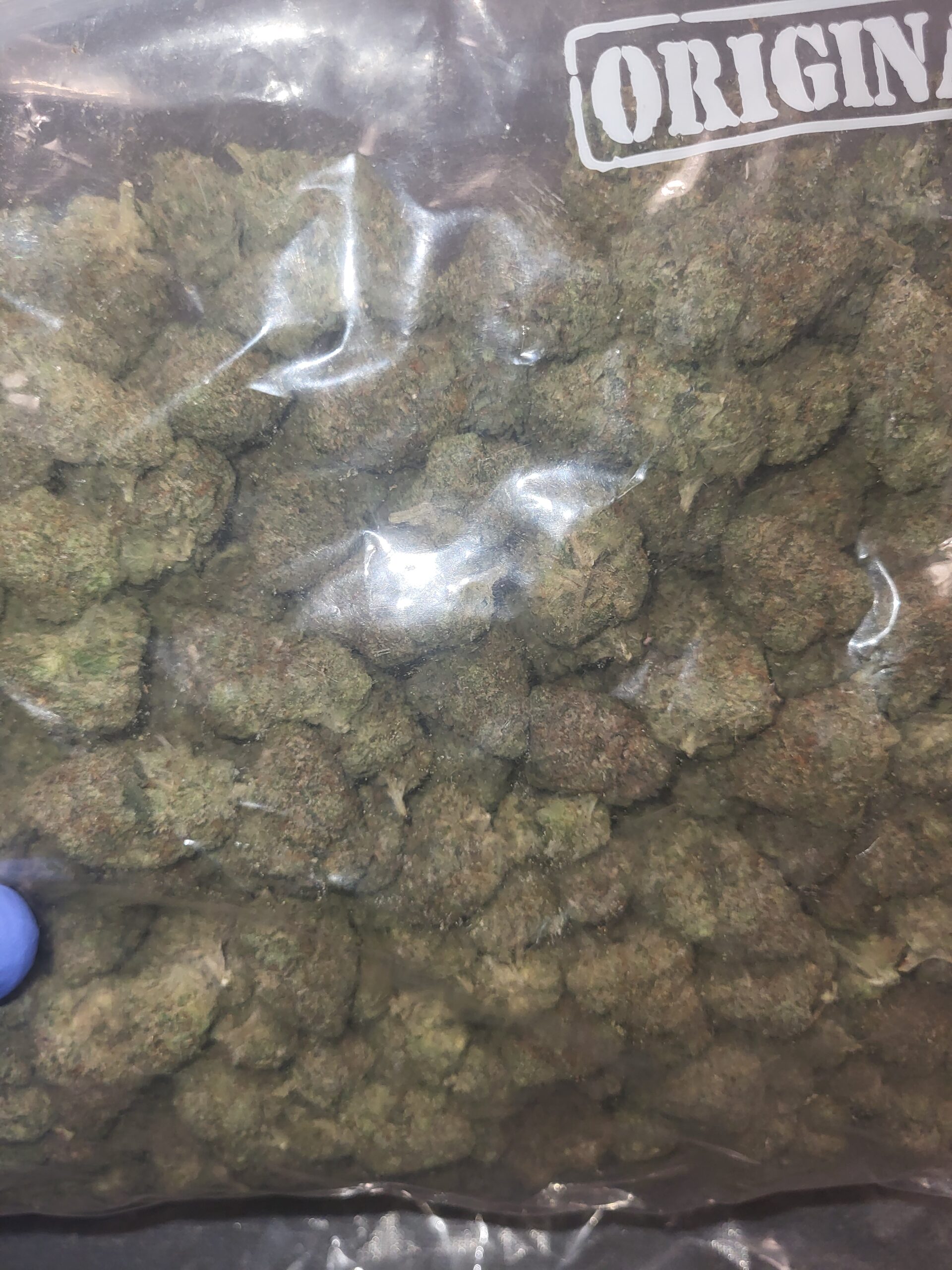 🐍🔥 BLACK MAMBA - INDICA - Image 2