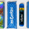 2 GRAM DUAL-FLAVORED DISPOSABLE VAPE